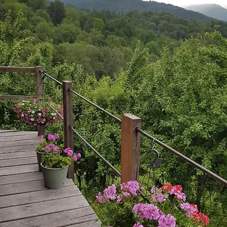 La Gailarde Au Millieu De Notre Ferme Avec Son Ruisseau Et Sa Mare *