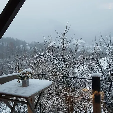 La Gailarde Au Millieu De Notre Ferme Avec Son Ruisseau Et Sa Mare