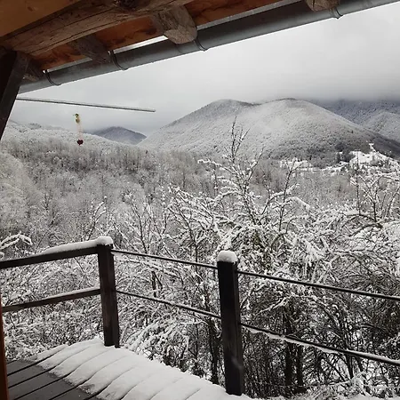 La Gailarde Au Millieu De Notre Ferme Avec Son Ruisseau Et Sa Mare Feriehus Massat