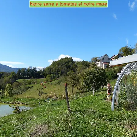 La Gailarde Au Millieu De Notre Ferme Avec Son Ruisseau Et Sa Mare *
