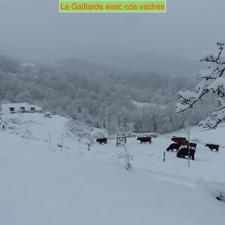Feriehus La Gailarde Au Millieu De Notre Ferme Avec Son Ruisseau Et Sa Mare Massat