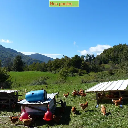 La Gailarde Au Millieu De Notre Ferme Avec Son Ruisseau Et Sa Mare *