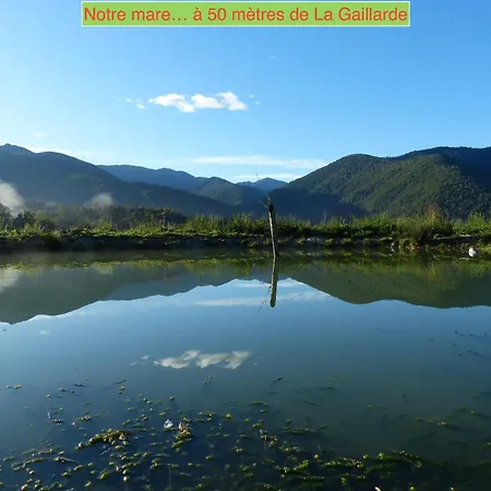 La Gailarde Au Millieu De Notre Ferme Avec Son Ruisseau Et Sa Mare Massat