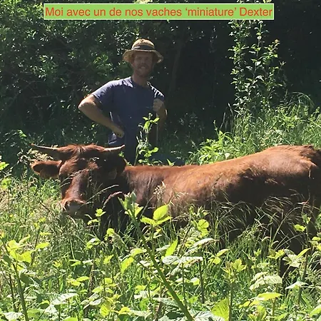 La Gailarde Au Millieu De Notre Ferme Avec Son Ruisseau Et Sa Mare